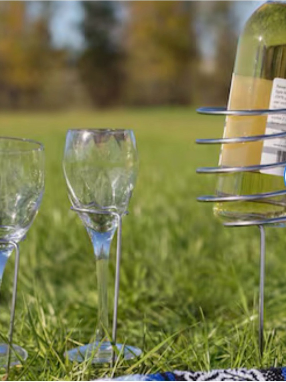 Silver Wine Glass and Bottle Holder - Home Dining